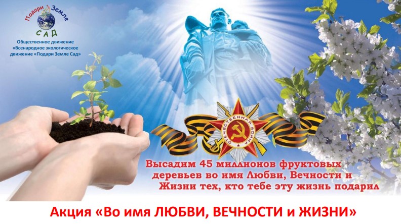 1.1.jpg