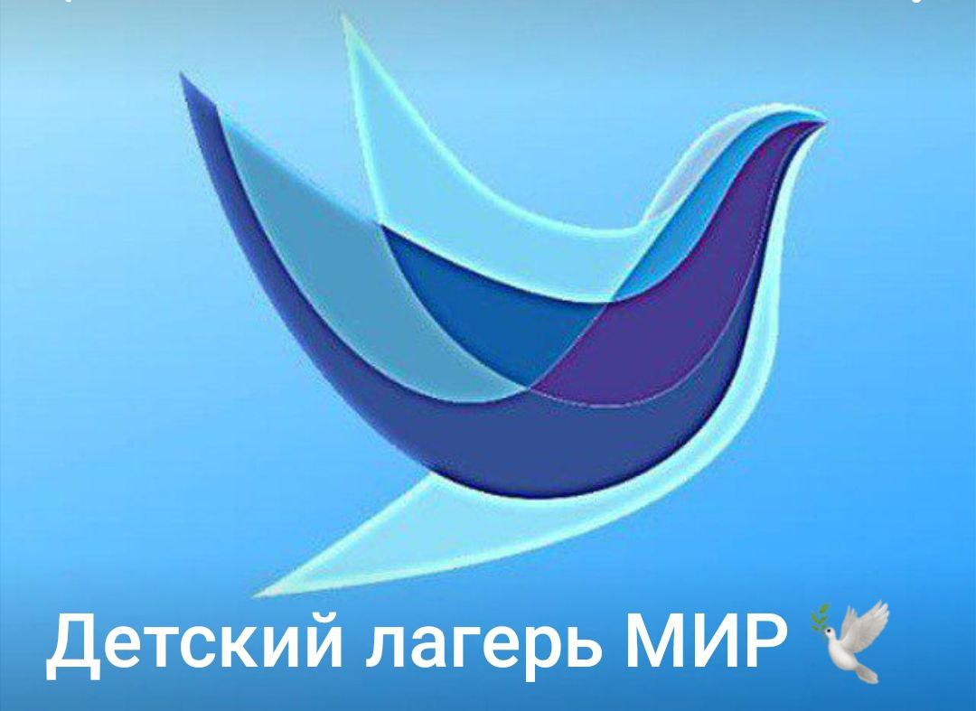 msg-1799518638-336.jpg